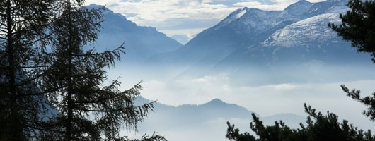 手机号轰在线轰炸