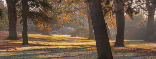 高端商务定制的云呼电话轰炸